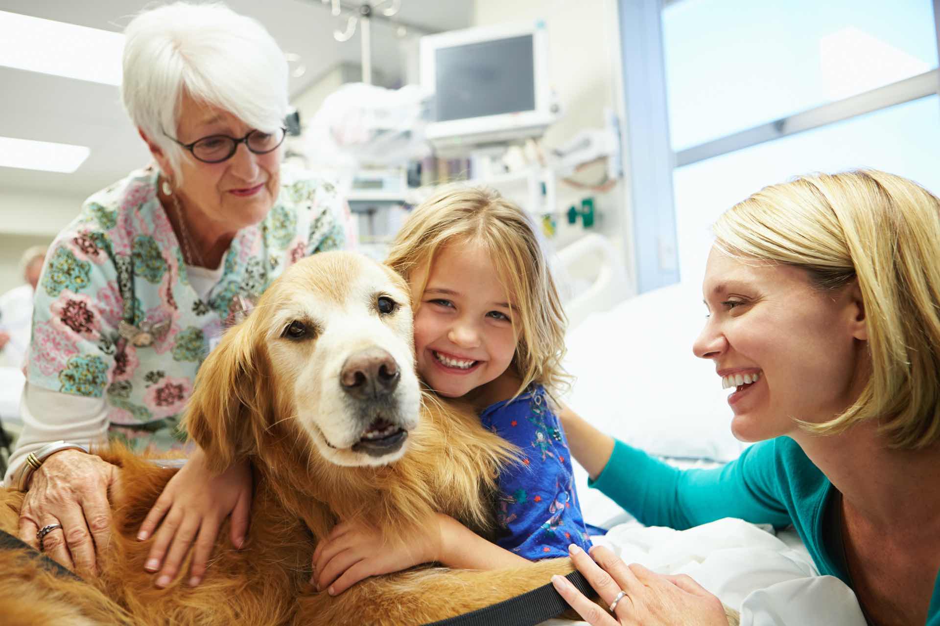 Smiling family adopting a dog